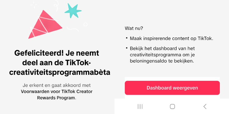  TikTok Creator Rewards Program